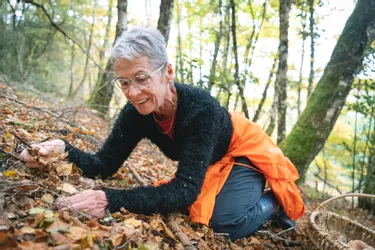 Rencontre avec Dany Barrès, glaneuse de champignons en série du côté de La Ségalassière (Cantal)