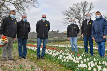 Le Lions club de Montluçon (Allier) lance son opération de vente de tulipes au profit de la lutte contre le cancer