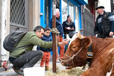 L'éleveur auvergnat répond à la polémique sur la présence de sa vache devant un restaurant parisien