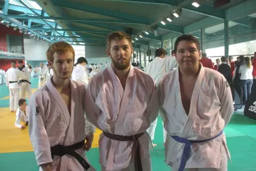 Trois judokas en compétition