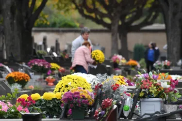 Série de vols de chrysanthèmes à Malemort : "On ne respecte même plus les morts" dénonce le maire