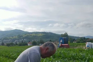 L’agriculteur les utilise depuis plus de 10 ans sur son exploitation