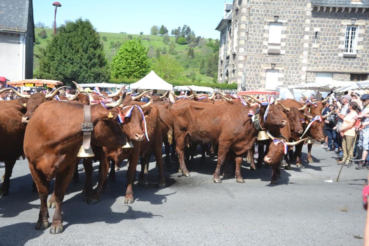 Nos 10 coups de coeur du 26 au 28 mai dans le Cantal [carte] - La Montagne