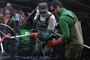 Une opération de pêche de sauvegarde a été réalisée au barrage afin de répertorier les poissons