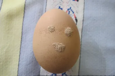 Un œuf pour le moins original