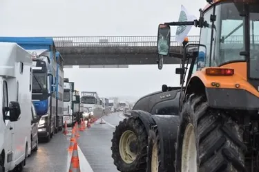 Saint-Amand : 3 km de bouchon sur l'A71, bloquée en direction de Paris par les agriculteurs