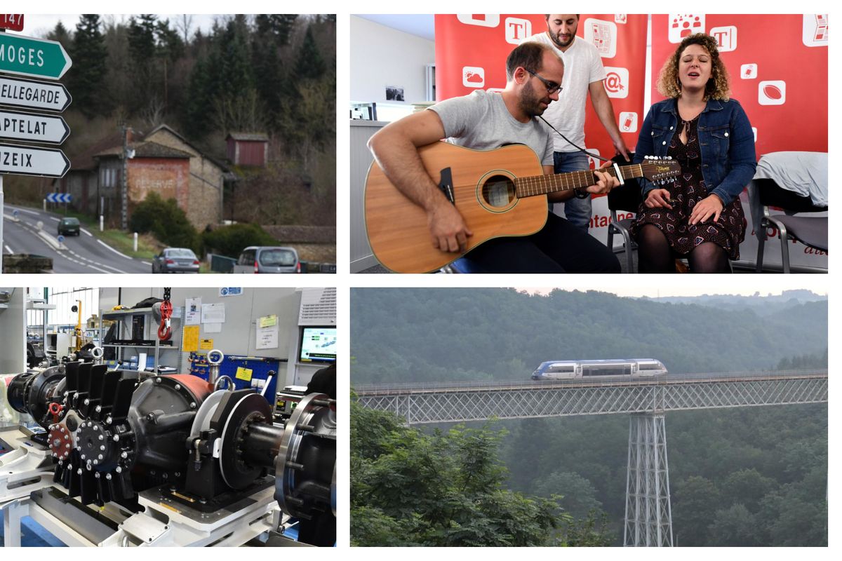 Réaliser Son écurie : Tout Ce Qu'il Faut Savoir Sur La Construction D