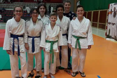 Dix judokas ont disputé l’Open du Cantal