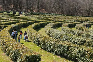 Le Labyrinthe géant des monts de Guéret propose toujours autant d’activités aux vacanciers