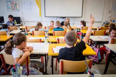 Baisse de la natalité : des effectifs sous surveillance dans les écoles de Montluçon
