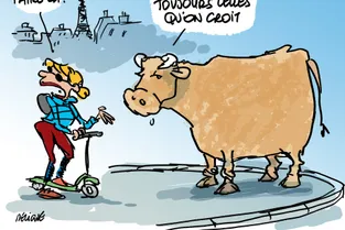 Une vache ferrandaise du Puy-de-Dôme crée la polémique sur les trottoirs parisiens