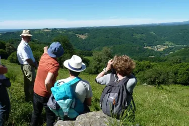 Monts du Cantal : un plan de paysage participatif pour repenser le cadre de vie des communes