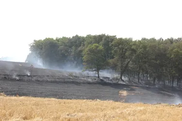 L'incendie se déclare durant la récolte du blé