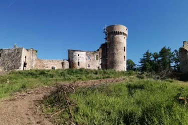 Premières Fêtes médiévales au château de la Faye, près d'Olmet (Puy-de-Dôme), les 24 et 25 juillet