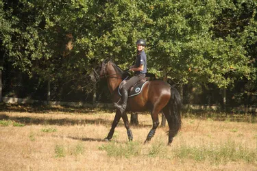 Equitation : un jeune Cantalien sacré champion du monde de Trec