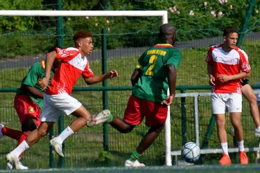 La finale de la CAN Clermont (Guinée-Tunisie) et le match pour la 3e place (Algérie-Maroc) diffusés sur lamontagne.fr