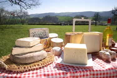 "Ce n'est pas que du gras et du sel !" : le Cheese Festival d'Issoire (Puy-de-Dôme) pour balayer les idées reçues
