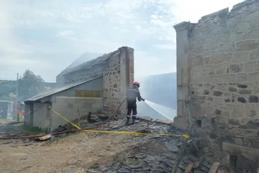 Cantal : quatre bovins périssent et la maison des éleveurs détruite par un incendie