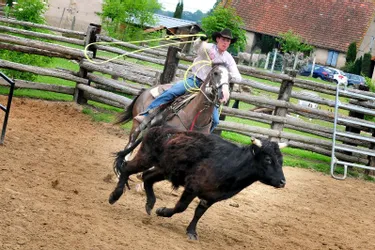 Concours de tri de bétail ce week-end à Culhat