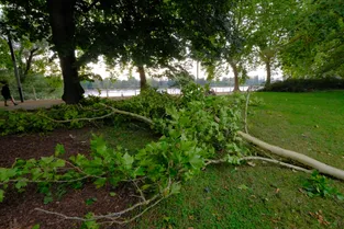 L'orage et le vent causent des dégâts matériels dans l'arrondissement de Vichy