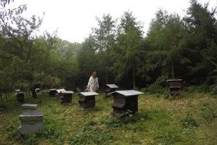 L'apiculture comme une évidence pour Julie Batisson