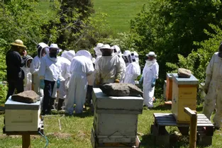 Le Civam apicole du Velay en assemblée générale à Aiguilhe
