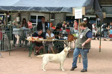 Manifestation canine à la Mouniaude