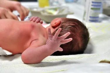 Une douzaine de bébés nés entre le 18 et le 25 février, à l'hôpital de Moulins