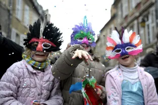 Les meilleurs moments du carnaval de Moulins 2015