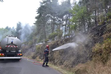 Chaniat : près de 2 ha de forêt partent en fumée