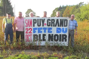 Au Puy-Grand, on va moissonner le blé noir à la faucille et battre au fléau