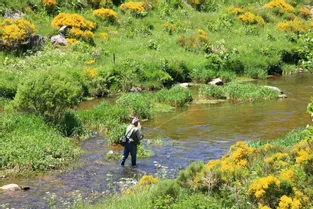 Auvergne : Pourquoi avons-nous tant de sites Natura 2000 ?