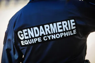 Deux passeuses de cannabis pour un détenu du centre de détention d'Uzerche (Corrèze) interpellées