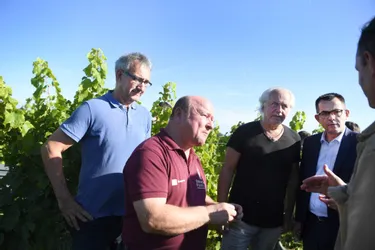 Une enveloppe de 100.000 € du Département de l'Allier pour venir en aide aux vignerons de Saint-Pourçain