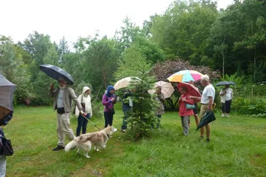 Une sortie découverte assez pluvieuse à l’Arboretum de la Tuillière