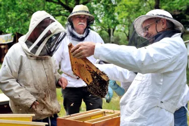 Tout ce qu'il faut savoir avant de se lancer dans l'apiculture