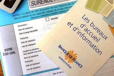 La Banque de France a reçu en 2012 1.756 dossiers de particuliers asphyxiés par leurs dettes