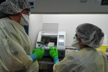 La génétique pour lutter contre le virus au centre Jean-Perrin de Clermont-Ferrand