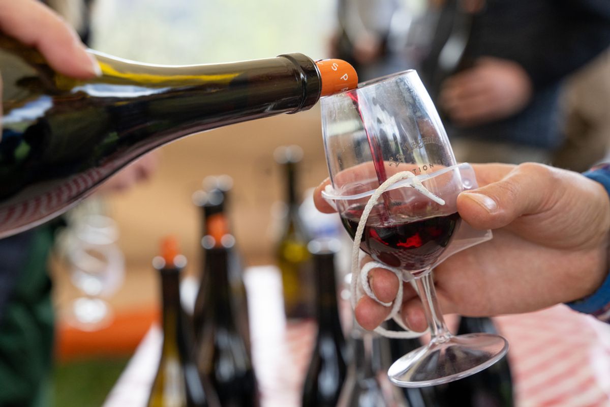 Inflation des belles bouteilles, nouveaux modes de vie... Pourquoi la consommation de vin est au plus bas depuis 1961