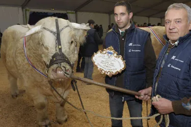 L’édition 2013 du Concours général agricole de Moulins, un bon cru pour l’élevage bourbonnais