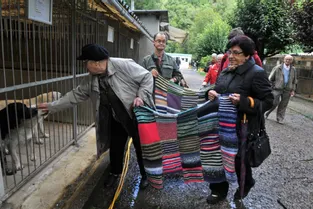 Belle initiative de l’atelier « tricot » pour la SPA