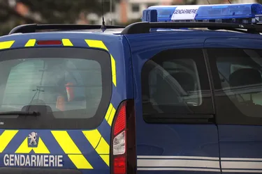 Les gendarmes de Bort-les-Orgues (Corrèze) interpellent un homme qui avait tenté de tuer une portée de chiots