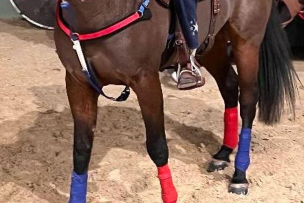 LENTIGNY. Valérie Trambouze et Dodge Léo Cody récidivent au Salon ...