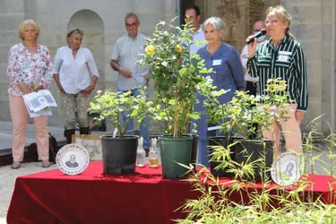 Plus de 2.000 visiteurs au Domaine royal de Randan (Puy-de-Dôme) pour le 9e Randanplants