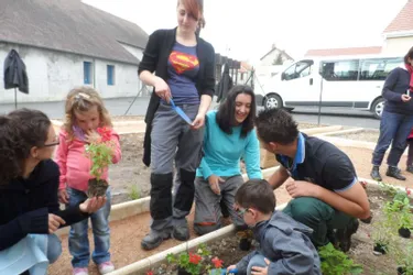 Les écoliers cultivent leur propre jardin