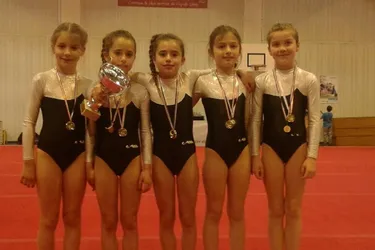 Gymnastique : les jeunes de Volvic se distinguent à Chappes
