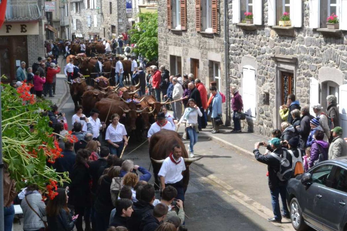 Les coups de cœur pour sortir ce week-end dans le Cantal [carte] - La ...