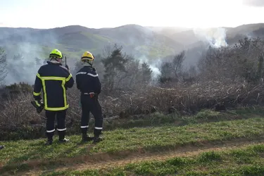 Un feu ravage 12 hectares de forêt en Haute-Loire