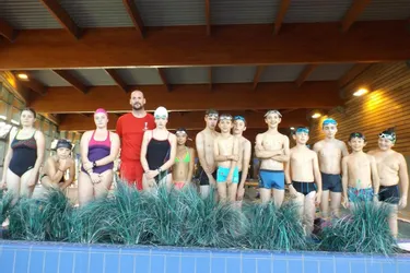 L’école de natation en nette progression