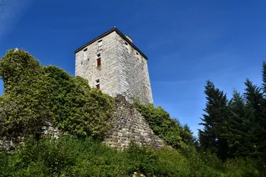 La longue renaissance du château de la Roue, à Saint-Anthème (Puy-de-Dôme)